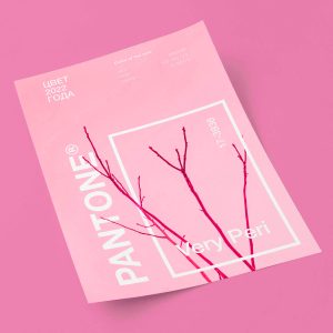 Blog 1